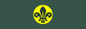 Scout Chief Scouts Personal Award