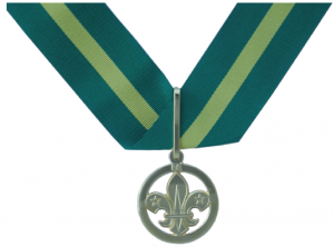 Scout Awards: The Bar to the Award for Merit