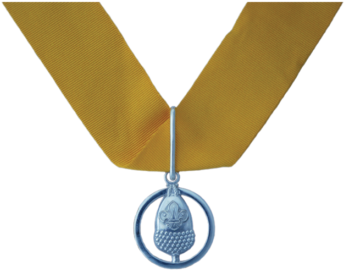 Scout Awards: The Silver Acorn